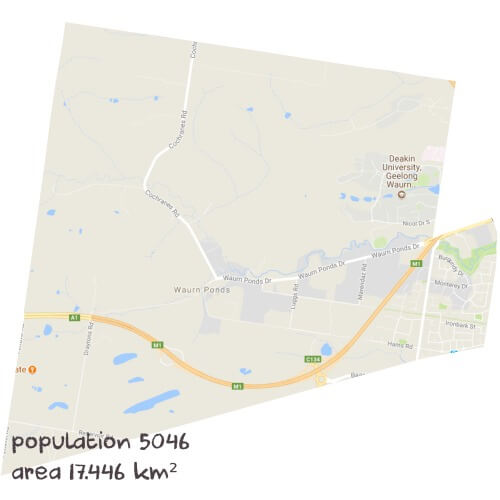Info Processing Tutoring Near Me